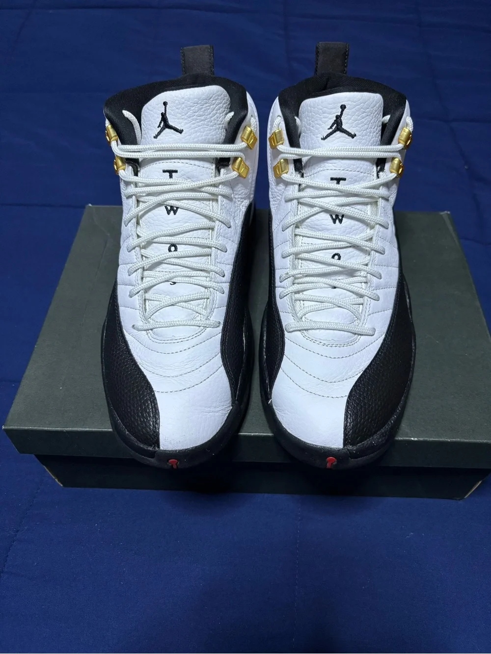 Jordan 12 Retro Taxi 2025 Size 10.5